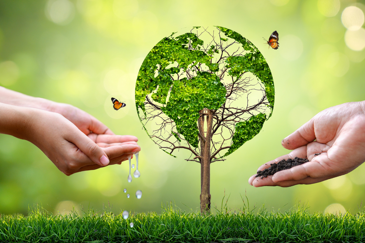 What is World Environment Day